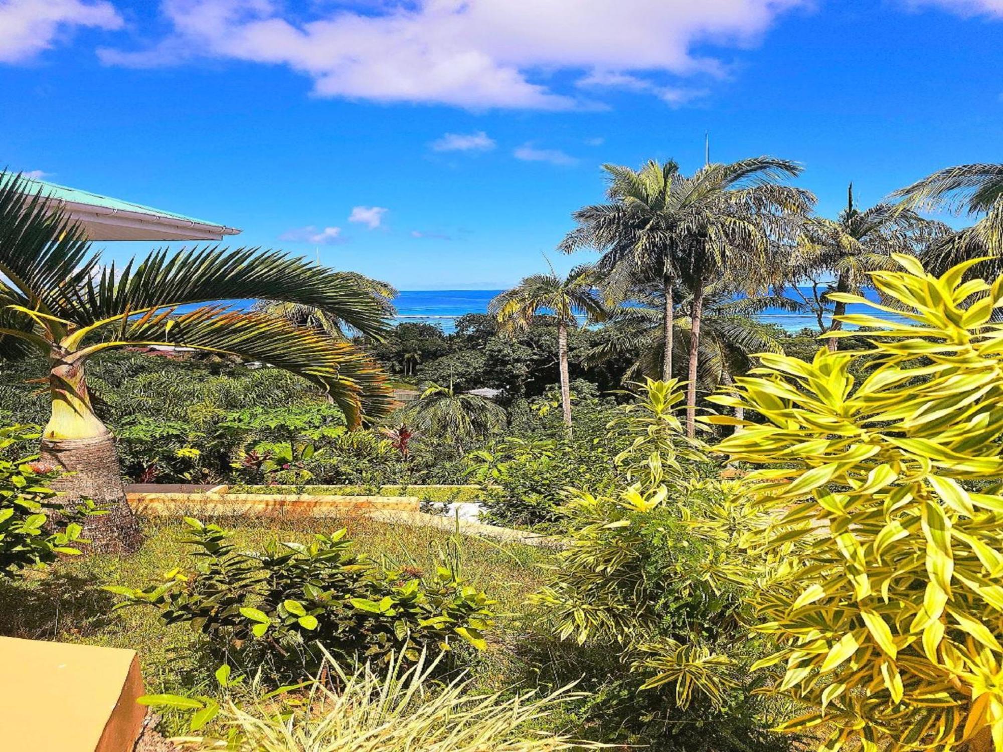 Au Lever Du Soleil Guest House Sea View Au Cap ภายนอก รูปภาพ