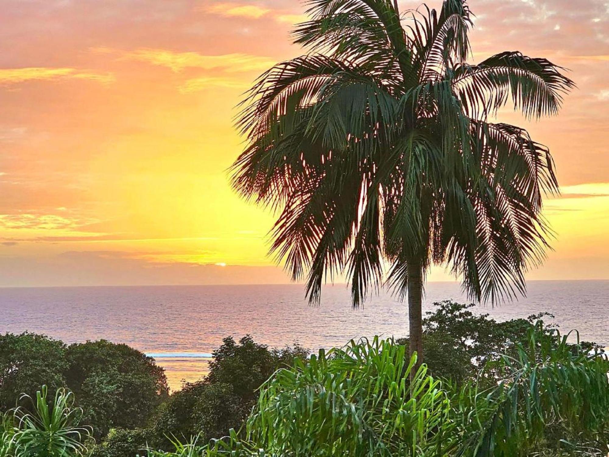 Au Lever Du Soleil Guest House Sea View Au Cap ภายนอก รูปภาพ